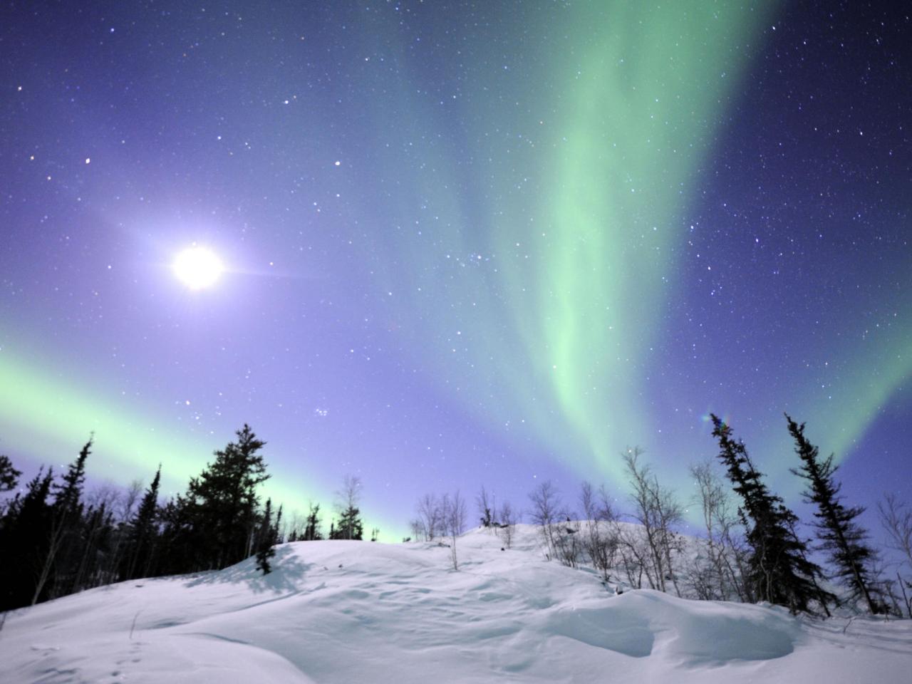 обои Northern Lights, Northwest Territories, Canada фото