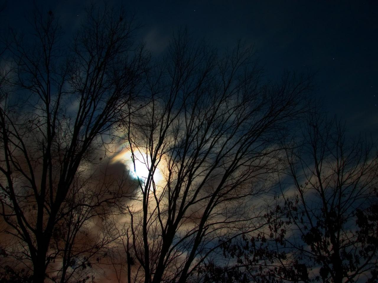 обои January night sky фото