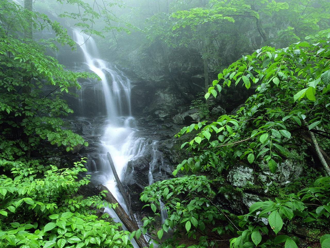 обои Lower Doyles River Falls фото