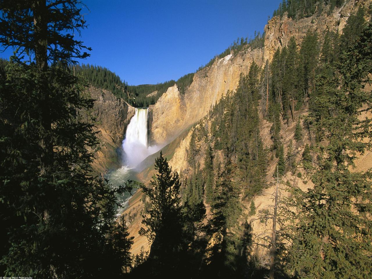 обои Lower Yellowstone Falls фото