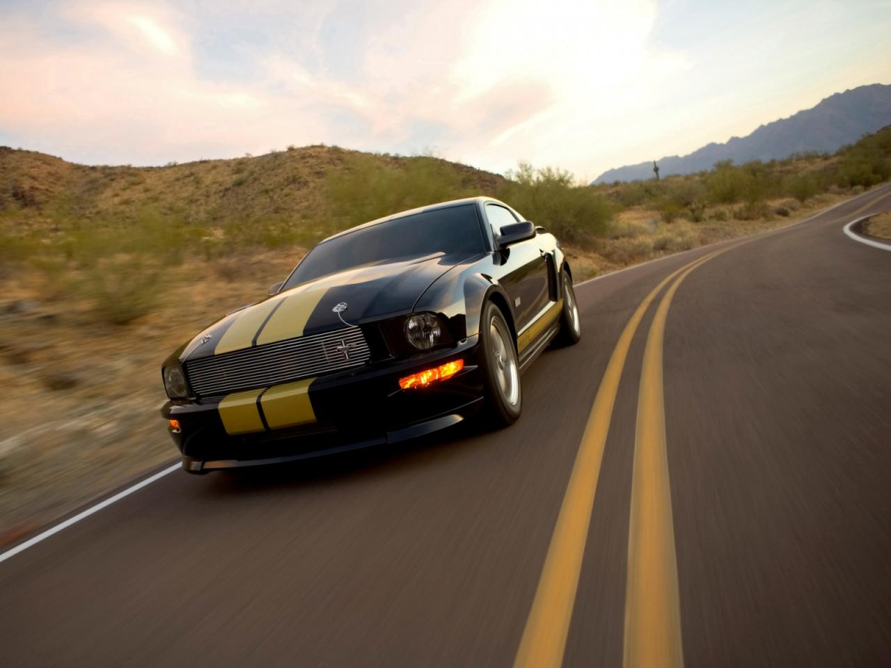 обои Ford Shelby GT фото