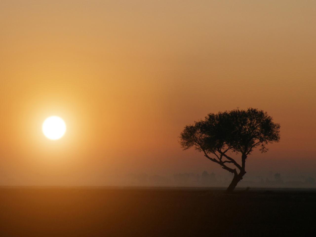 обои Californian farm sunset фото