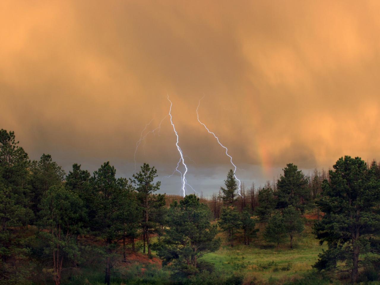 обои Summer storm фото