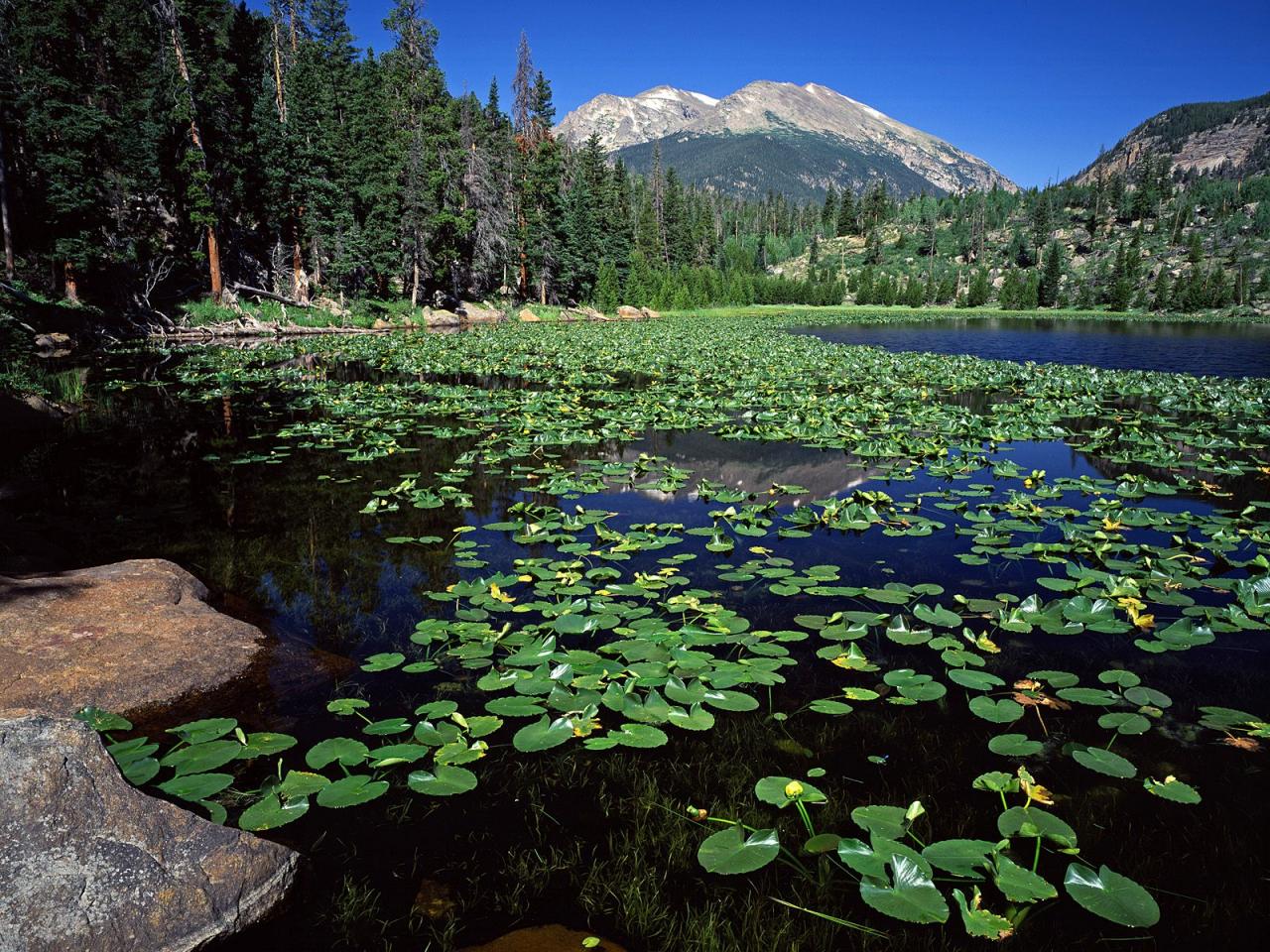 обои Cub Lake, Stones Mountain, Rocky Mountain National Park, Col фото