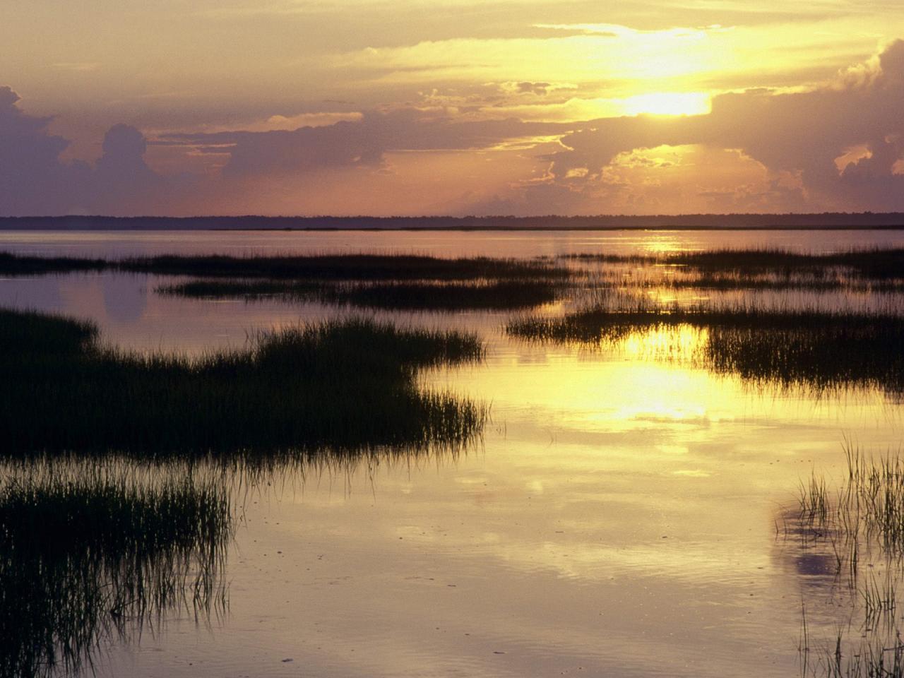 обои Dawn Breaking, St. Joseph Peninsula, Florida фото
