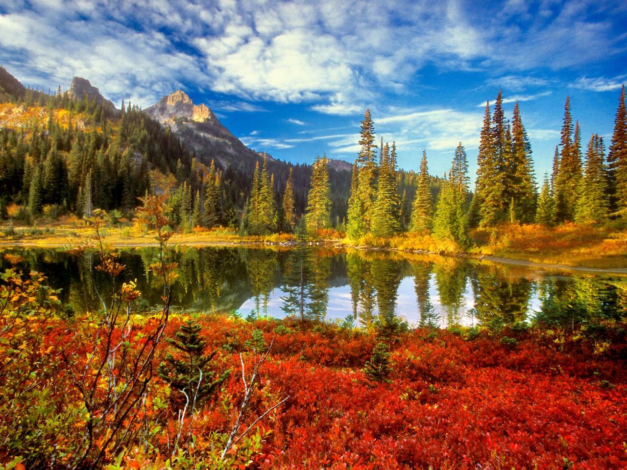 обои Fall in the Tatoosh Wilderness, Mount Rainier National Park, фото