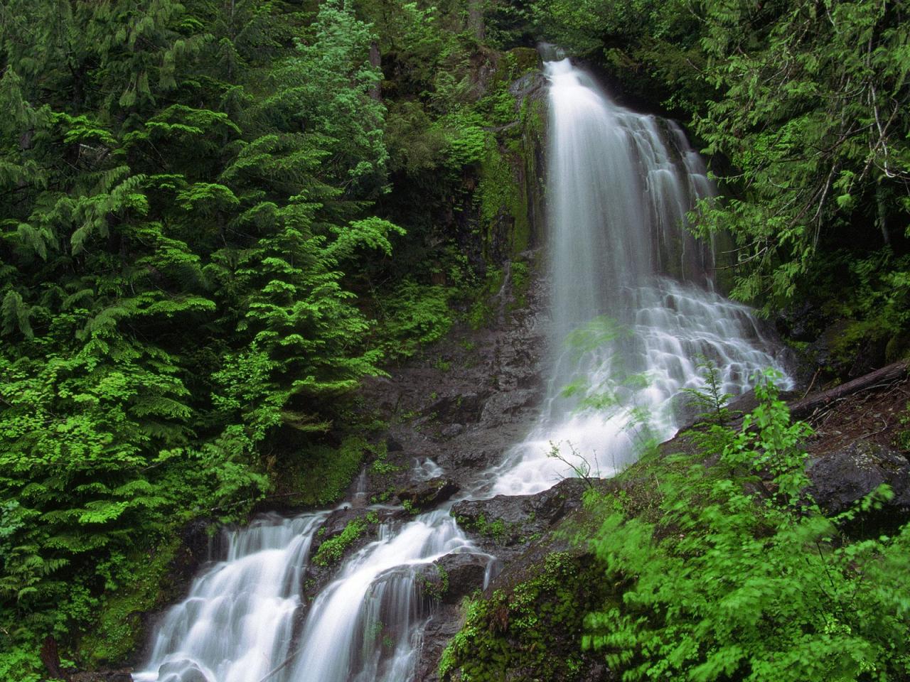 обои Ethereal Waters, Mount Rainier, Washington фото