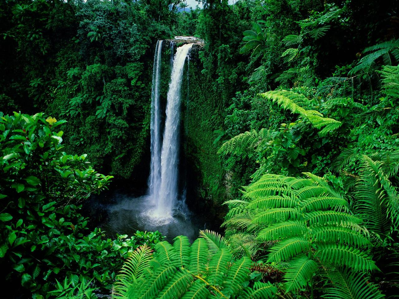 обои Fuipisia Falls, Upolu Island, Samoa фото