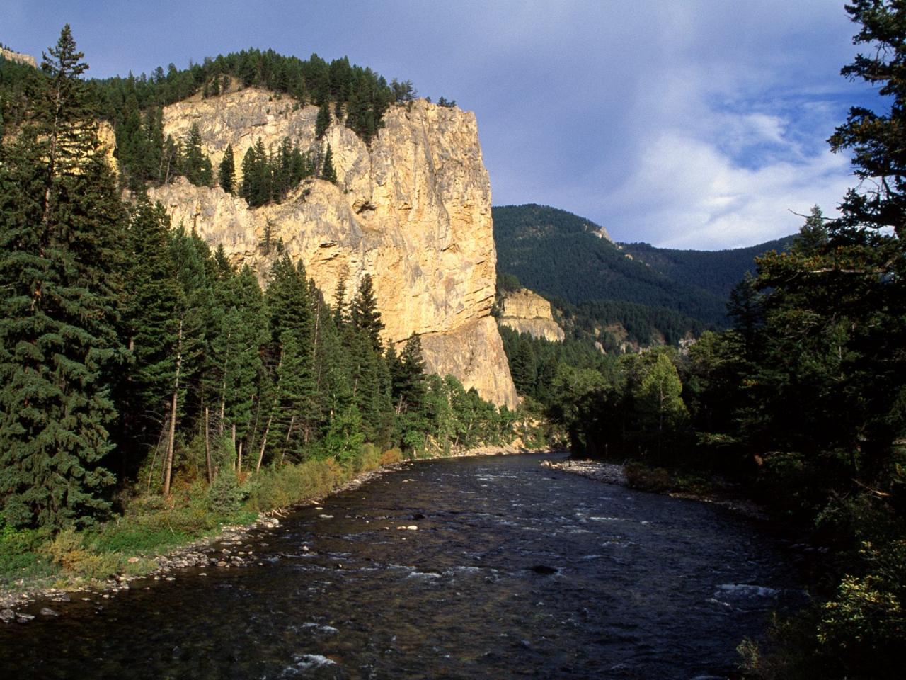 обои Gallatin Canyon, Montana фото