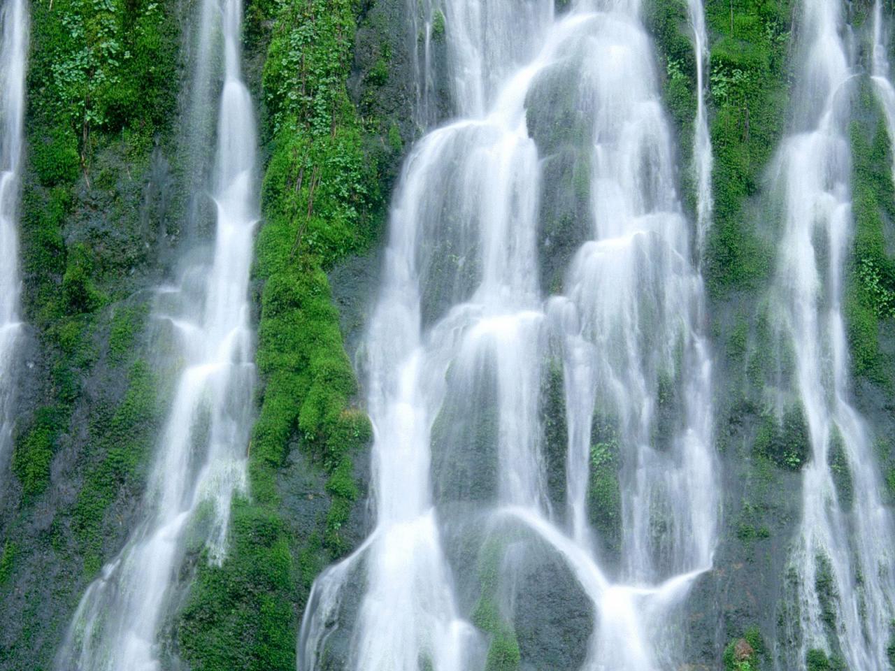 обои Gifford Pinchot National Forest, Washington фото