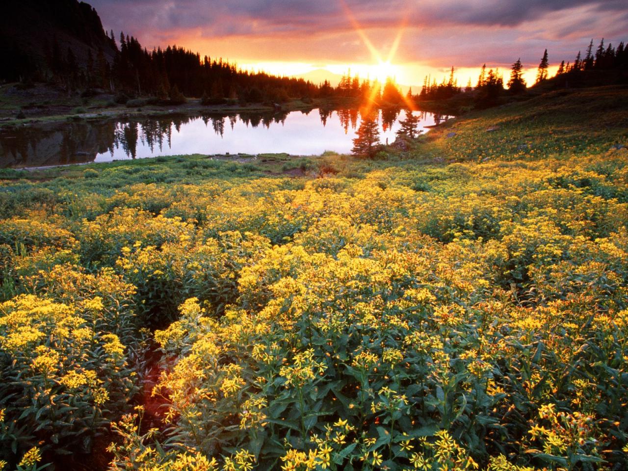 обои Gold King Basin, San Juan, Colorado фото