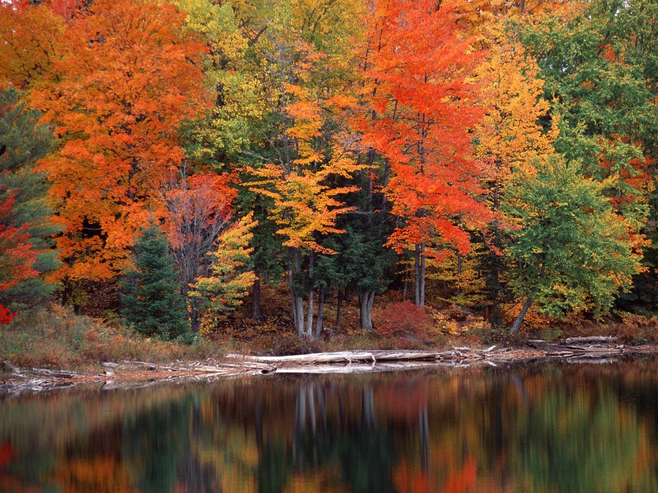 обои Hiawatha National Forest, Upper Peninsula, Michigan фото