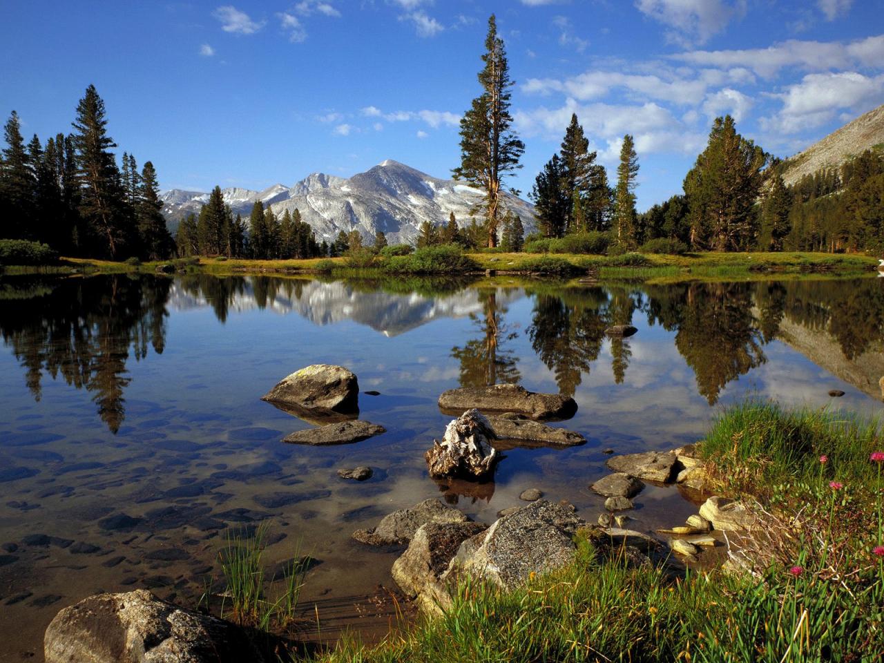 обои High Country Near Tioga Pass, Yosemite National Park фото