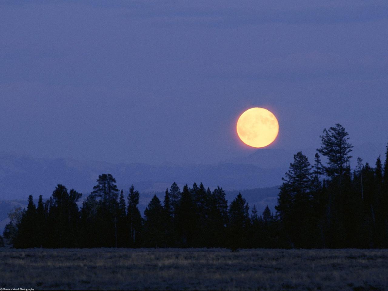 обои Harvest Moon, Wyoming фото