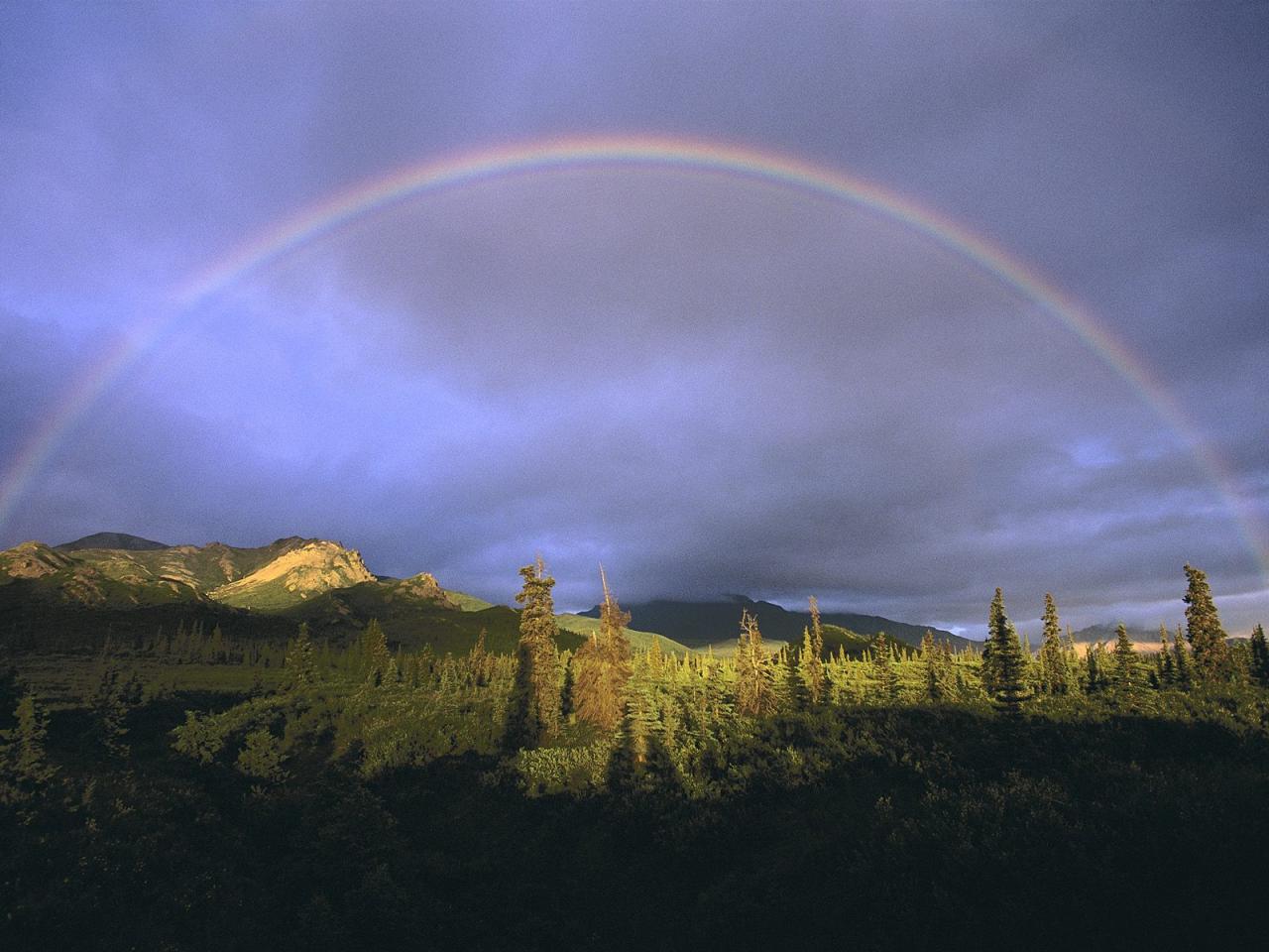 обои Full Rainbow Fall фото