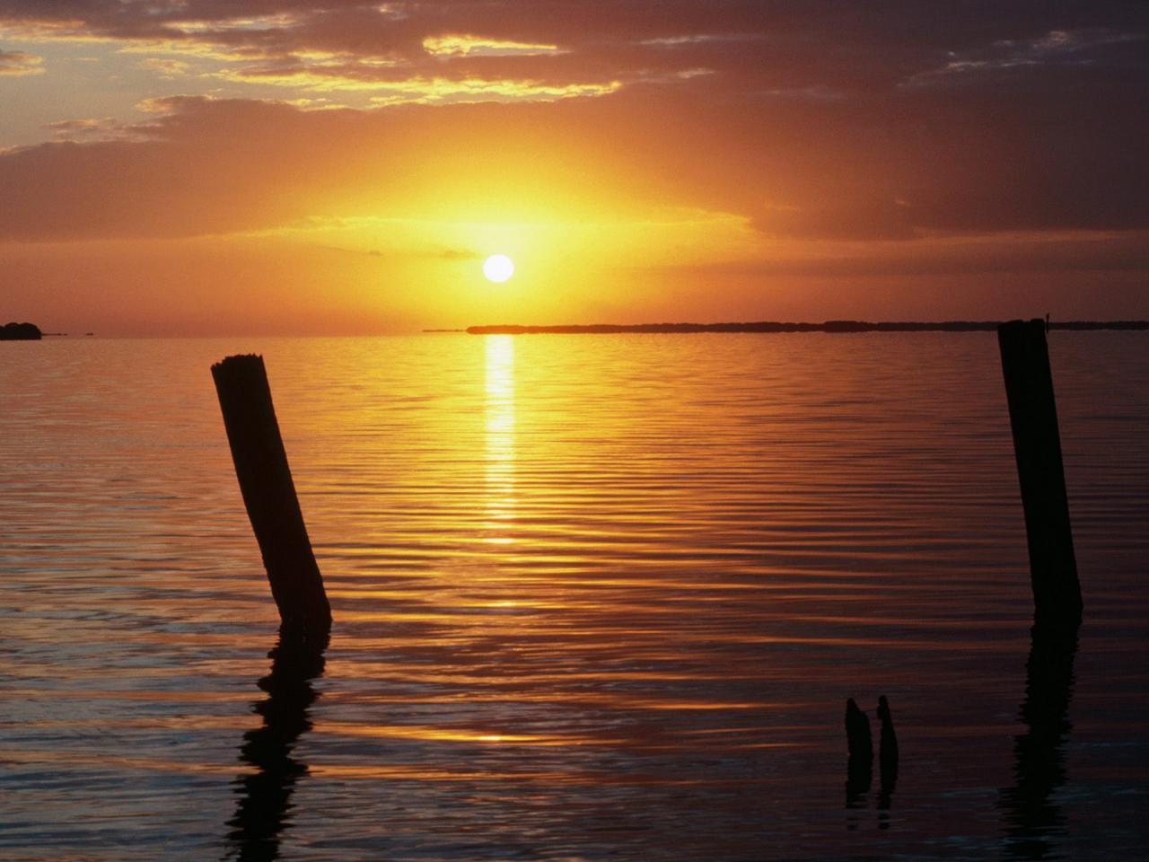 обои A New Day Begins, Everglades National Park, Florida фото