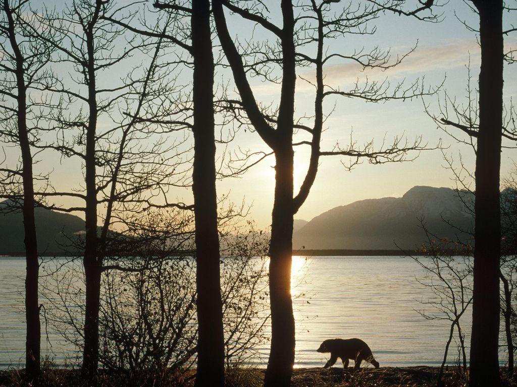 обои Naknek Lake, Katmai National Park, Alaska фото