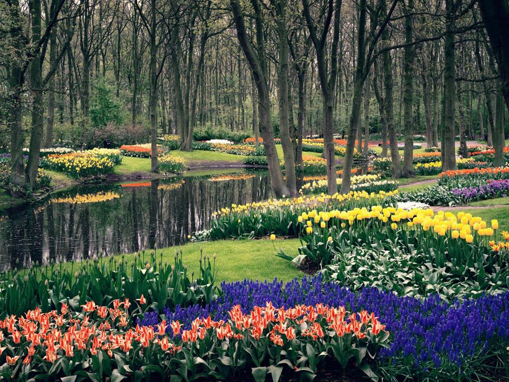 обои Keukenhof Gardens, Lisse, The Netherlands фото