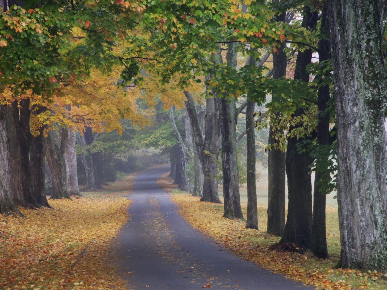 обои Journey into Fall, Louisville, Kentucky фото