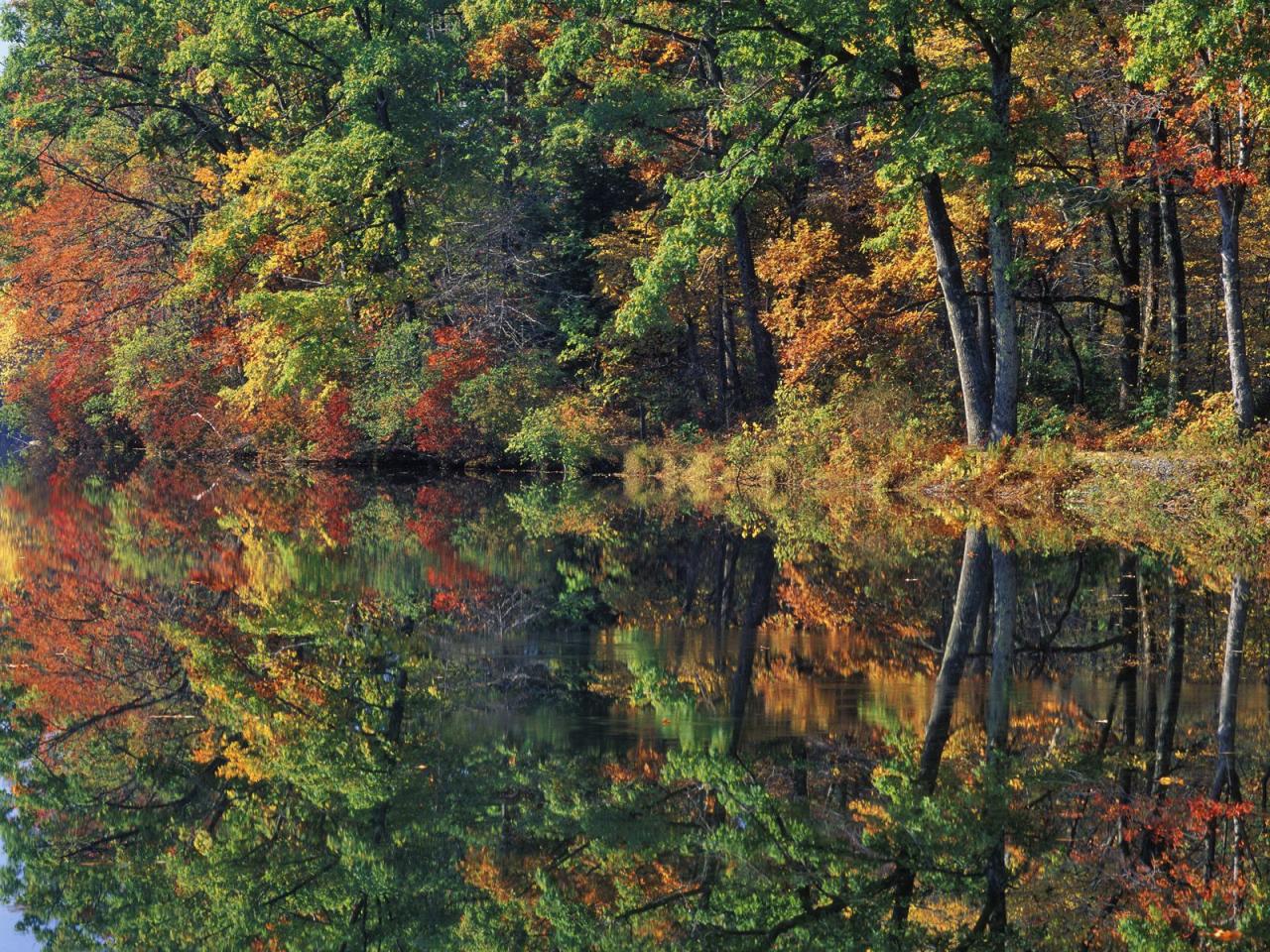 обои Autumn Reflections фото