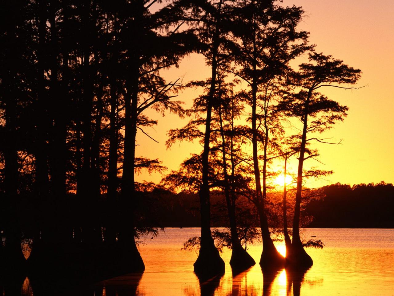 обои Sunset on Reelfoot Lake фото