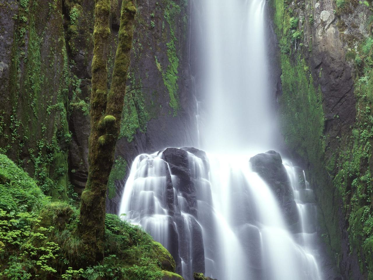 обои Kentucky Falls, Siuslaw National Forest, Oregon фото