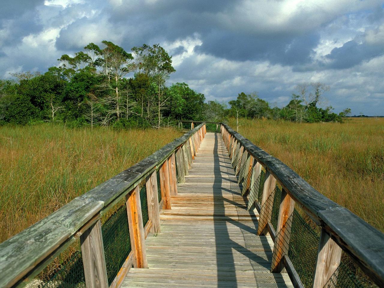 обои Mahogany Hammock Trail Boardwalk, Everglades National Park, фото