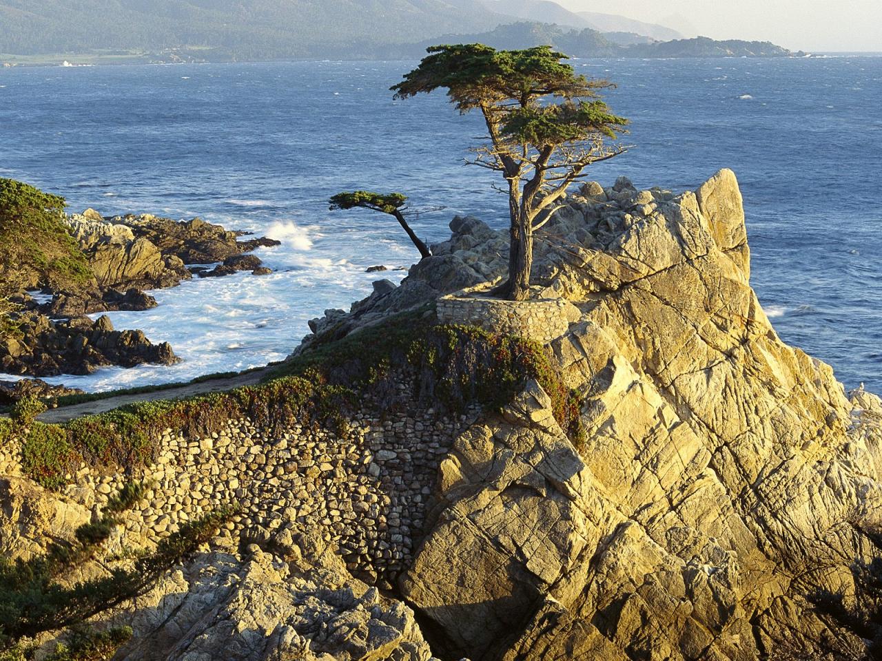 обои Lone Cypress, Pebble Beach, California фото