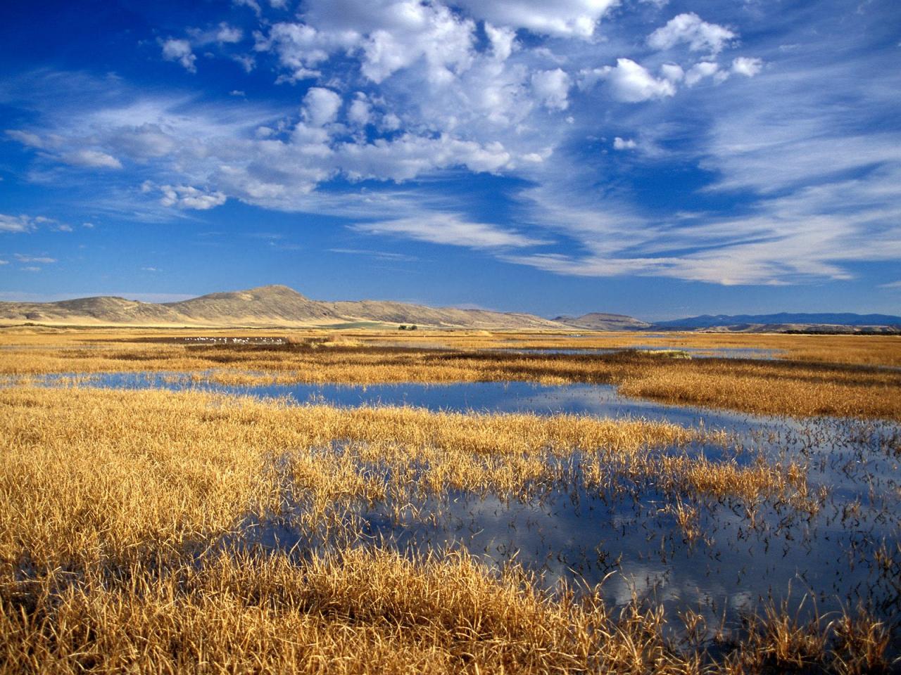 обои Lower Klamath Lake National Wildlife Refuge, California фото