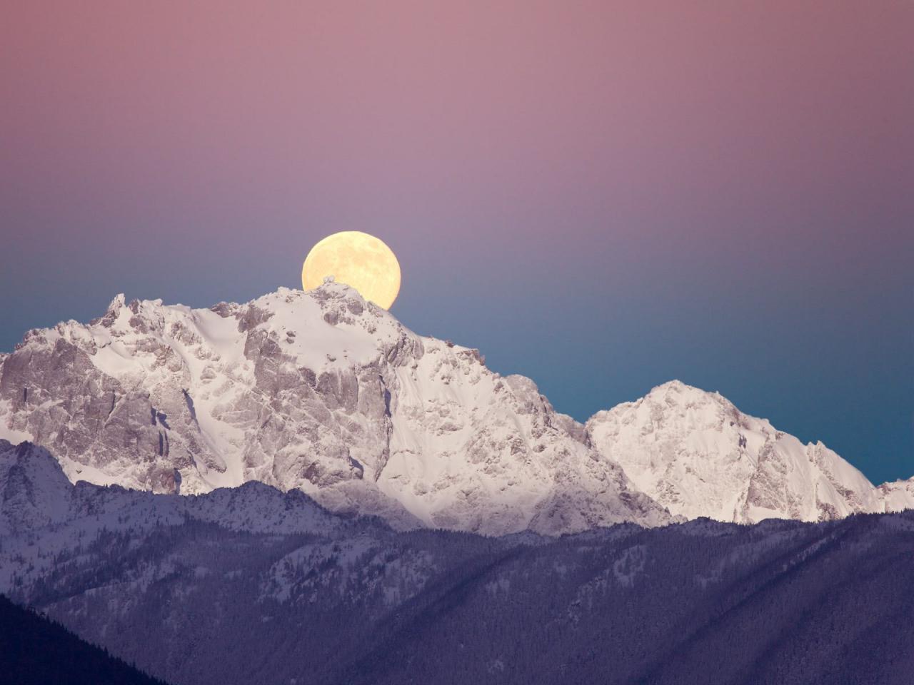 обои Moonset Over Mount Constance, Olympic National Park, Washing фото