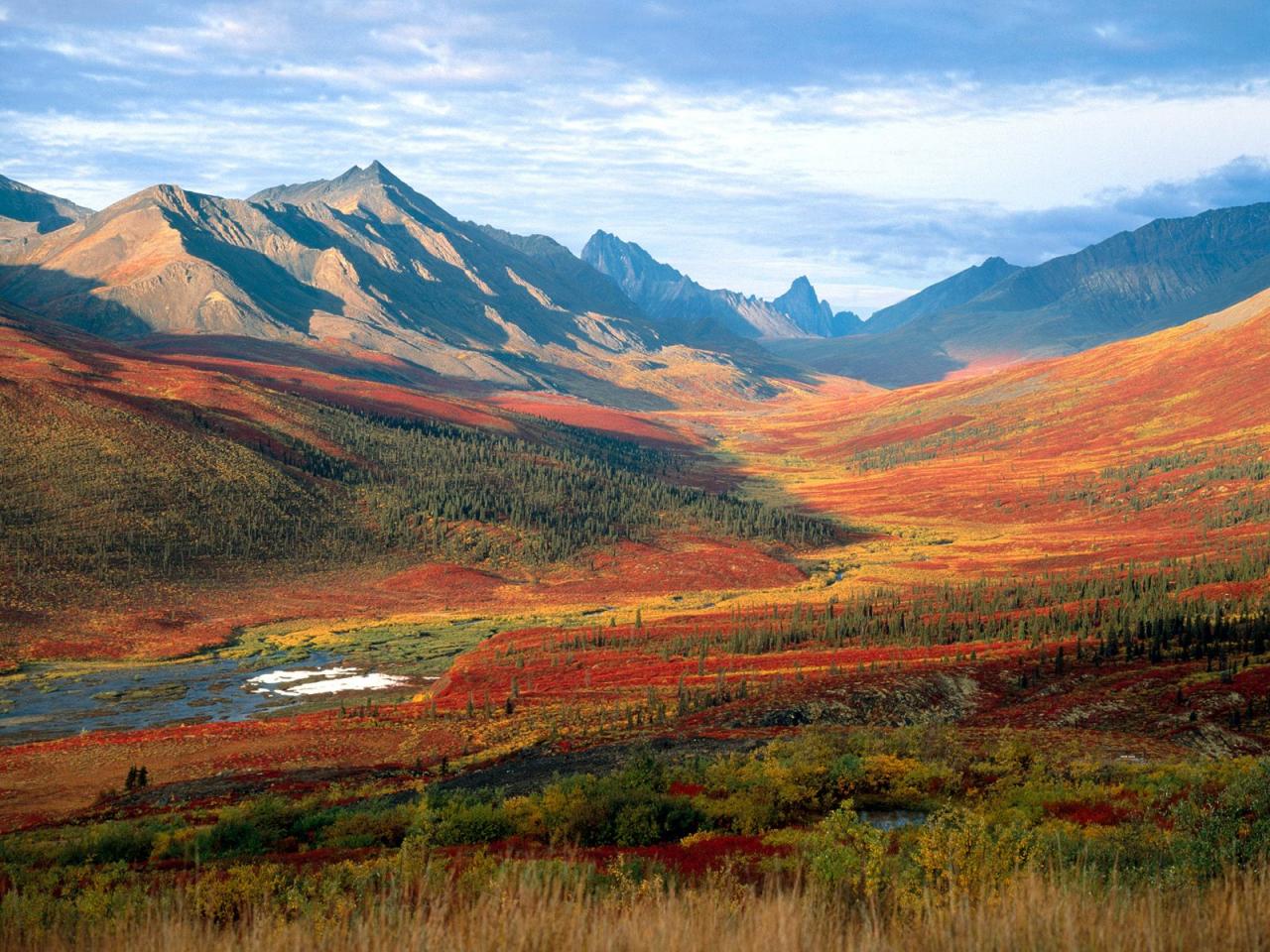 обои Mount Tombstone, Upper North Klondike Valley, Olgilvie Mount фото