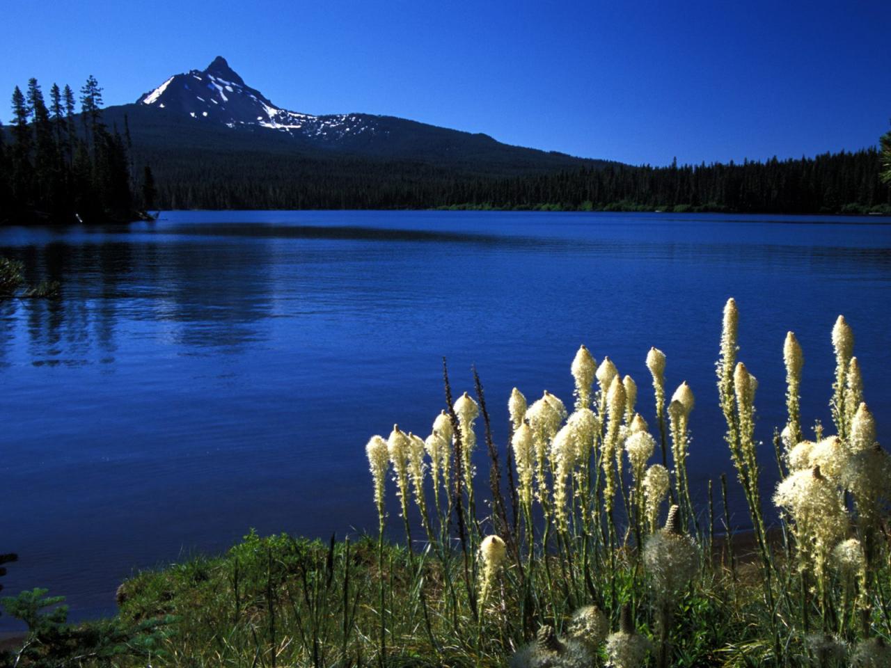 обои Mount Washington from Big Lake, Oregon фото