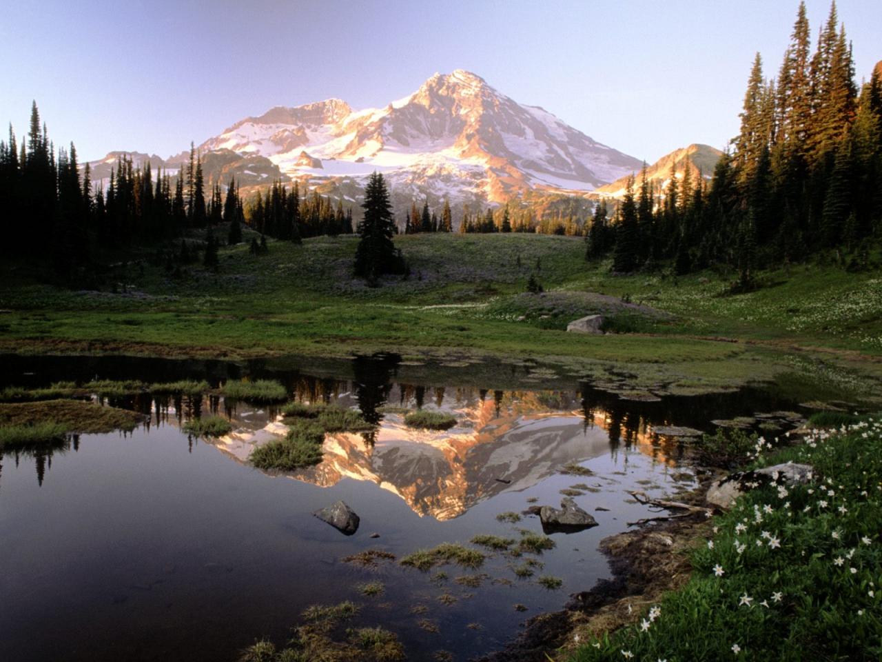 обои Mount Rainier National Park, Washington фото