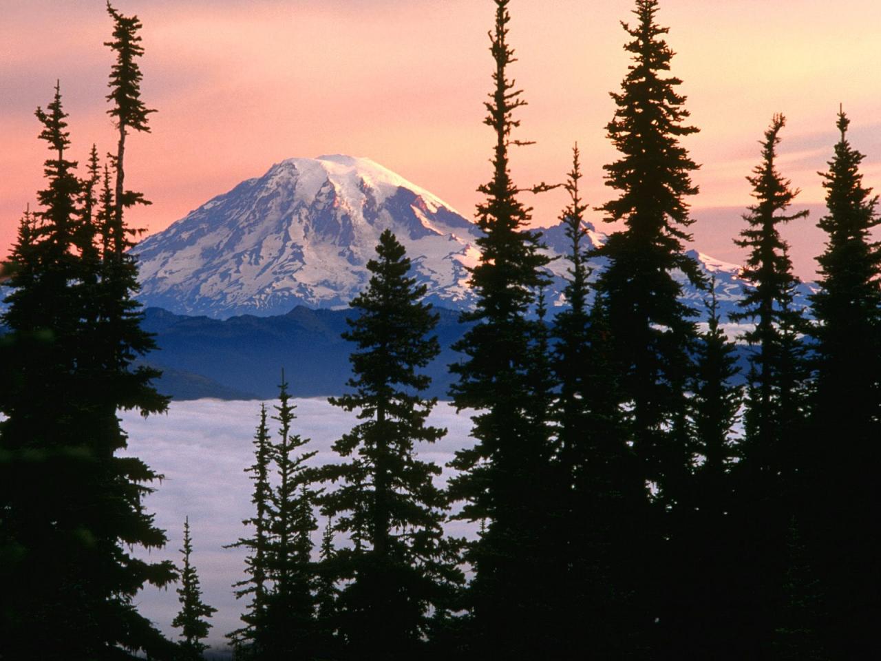 обои Mount Rainier, Washington фото