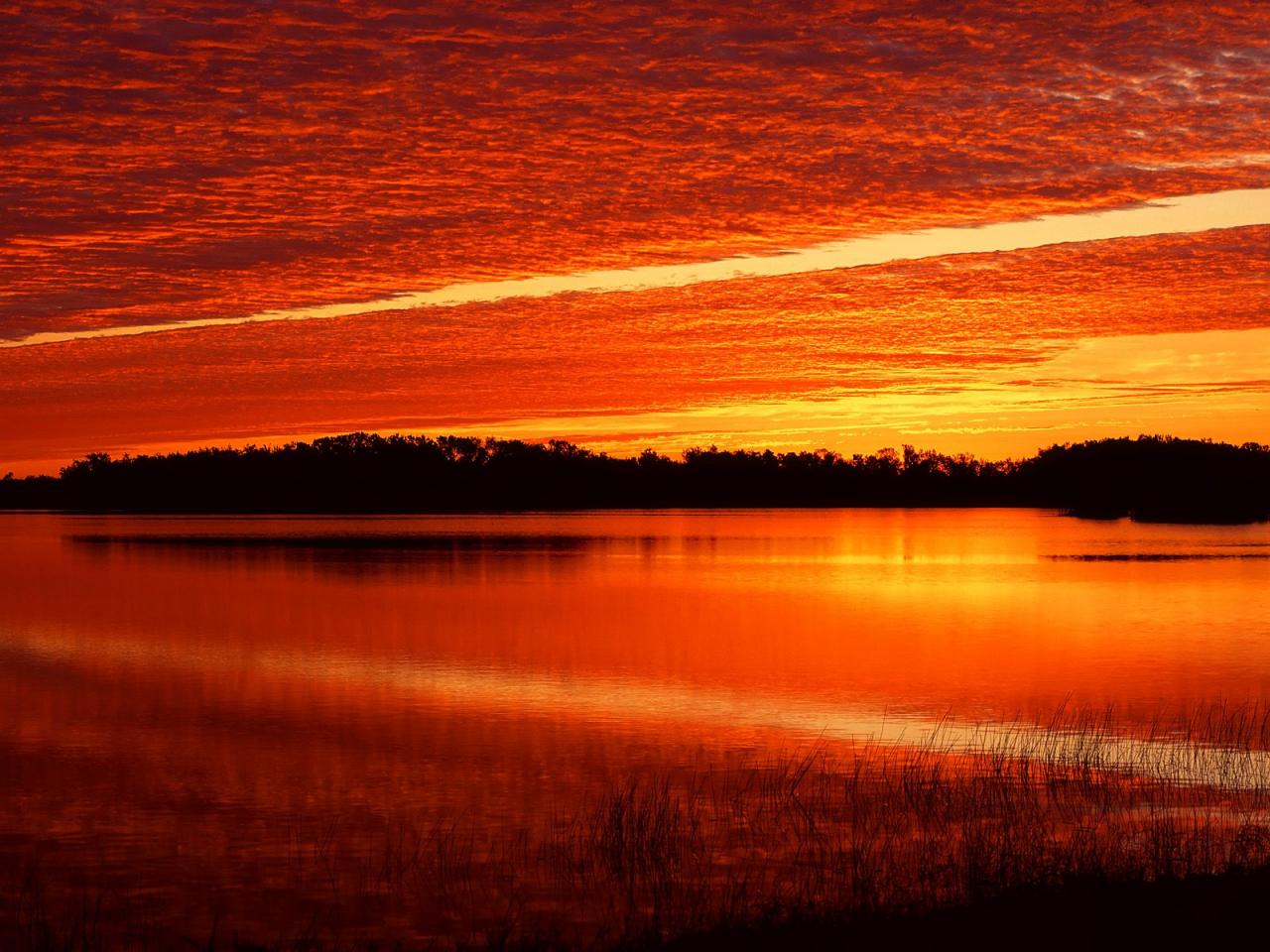 обои Nine Mile Pond at Sunrise, Everglades, Florida фото