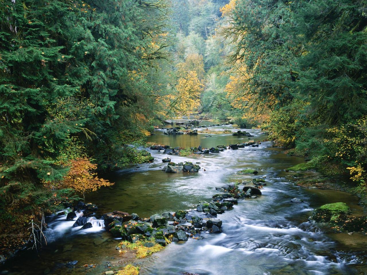 обои North Fork of the Smith River, Siuslaw National Forest фото