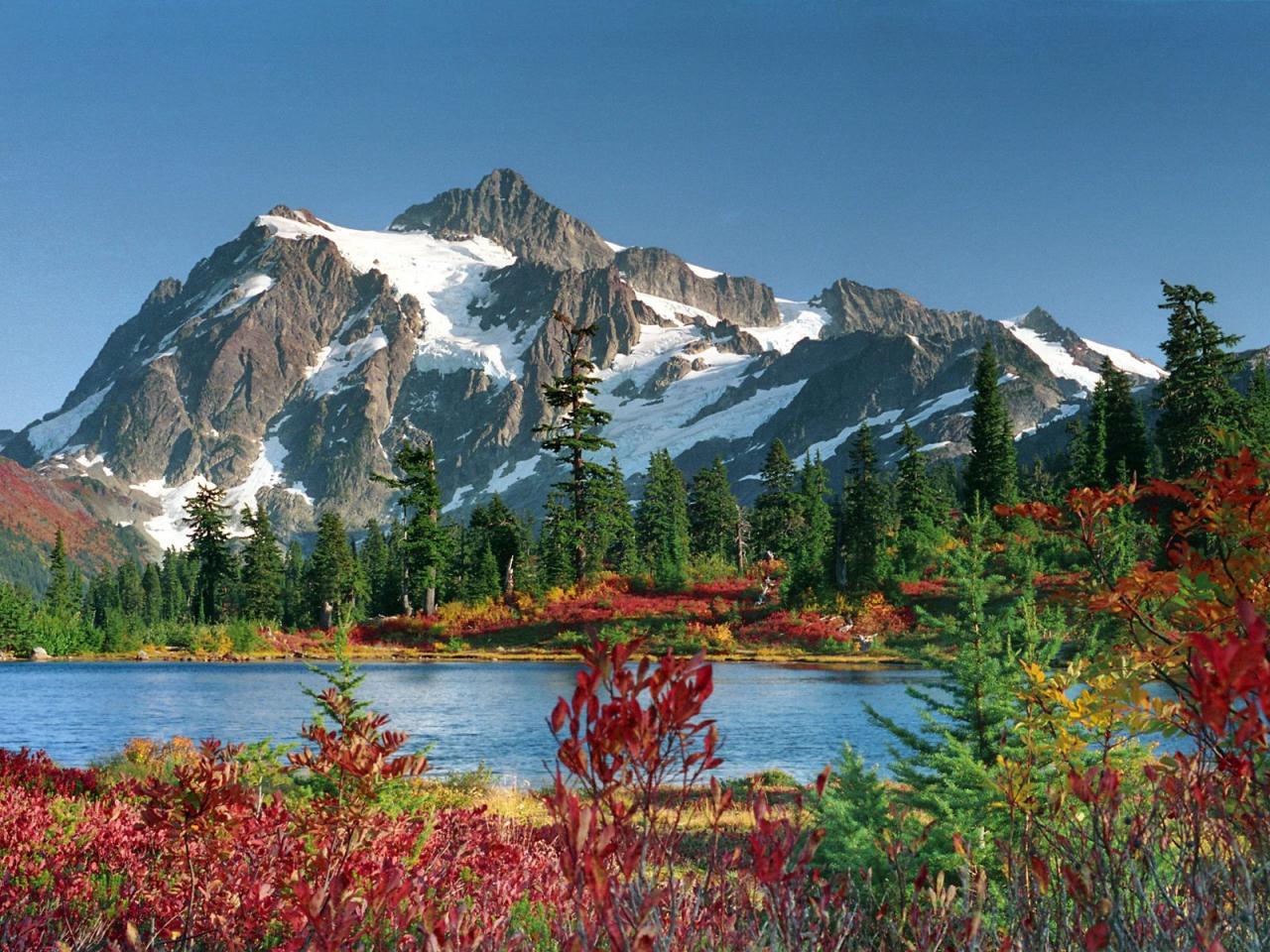 обои Picture Perfect, Snoqualmie National Forest, Washington фото