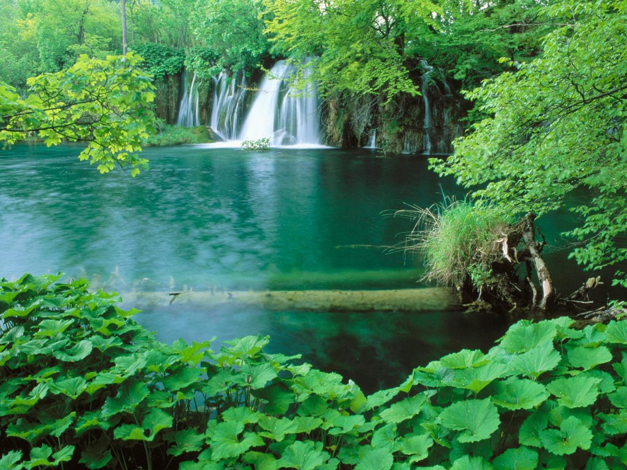 обои Plitvice National Park, Croatia фото