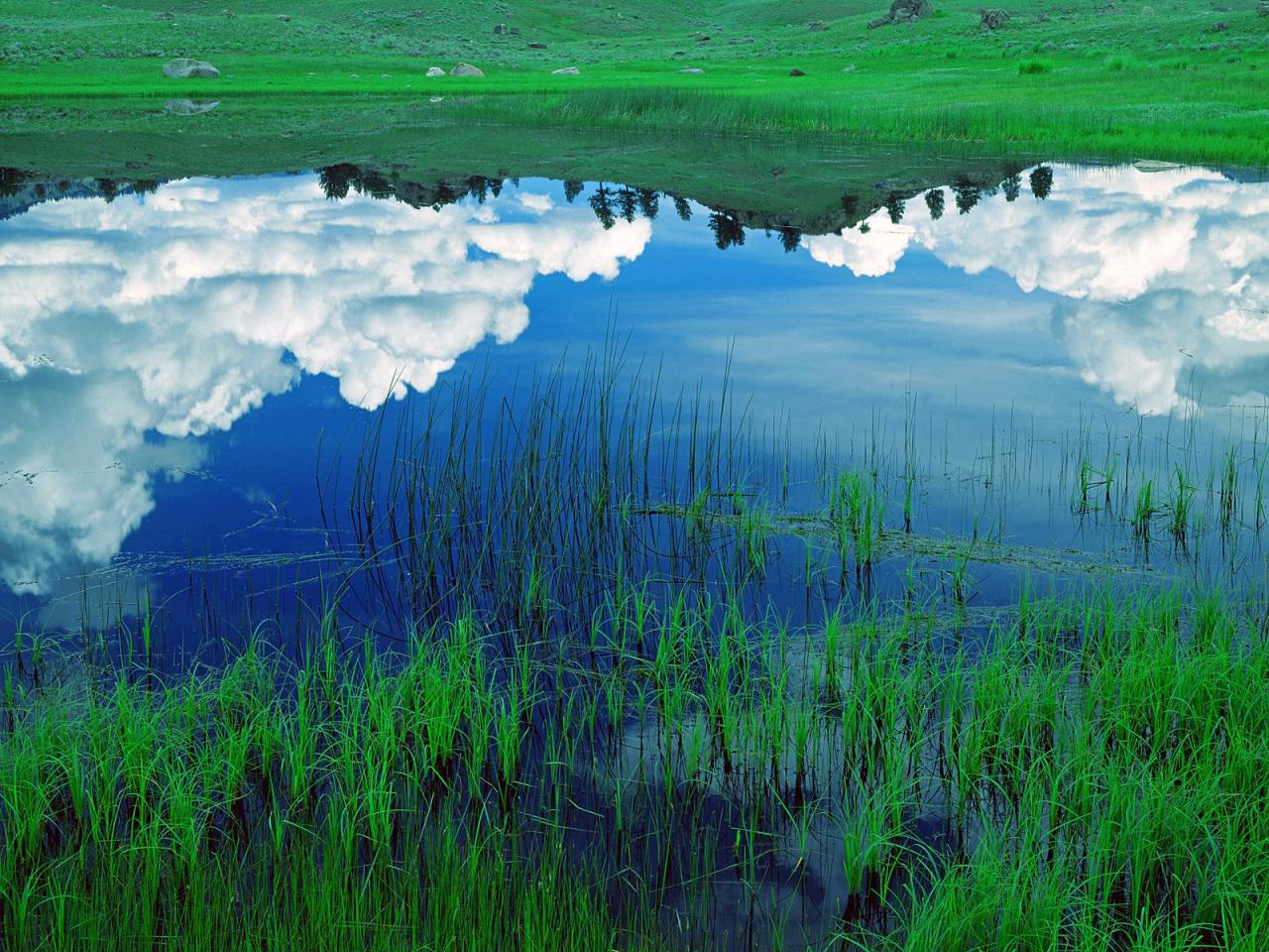 обои Pond Reflections, Lamar Valley, Yellowstone National Park фото