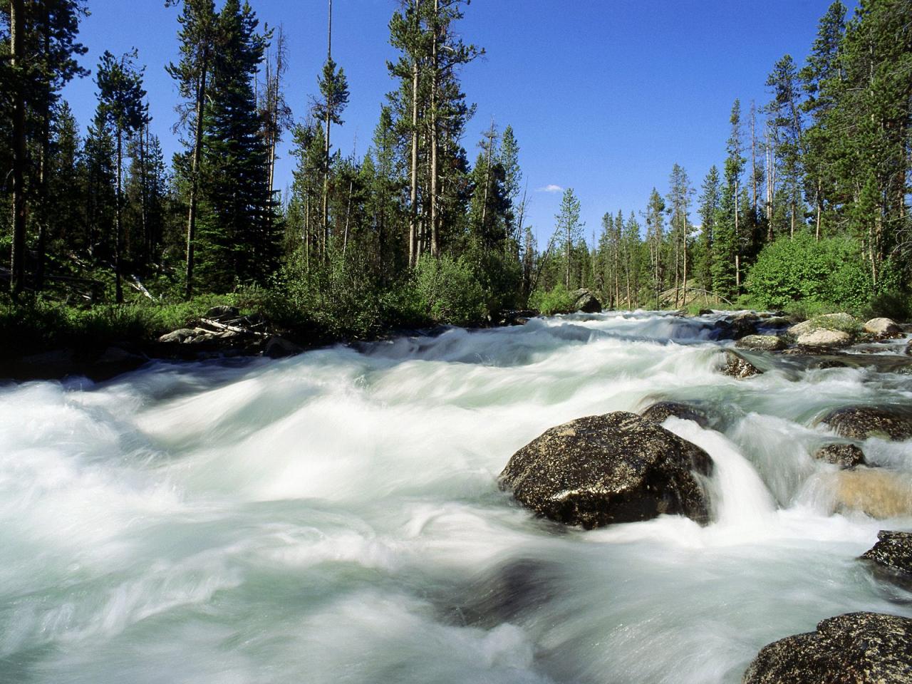 обои Redfish Creek, Idaho фото