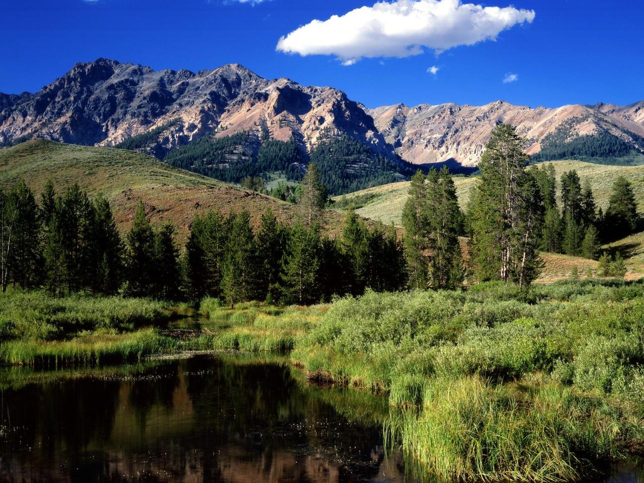 обои Reflections in Beaver Pond, Boulder Mountains, Idaho фото