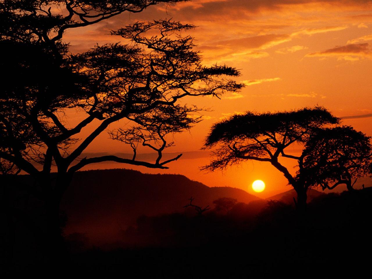 обои Serengeti National Park Sunset, Tanzania фото