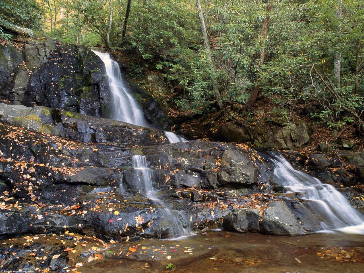 обои Smoky Mountains National Park, Tennessee фото