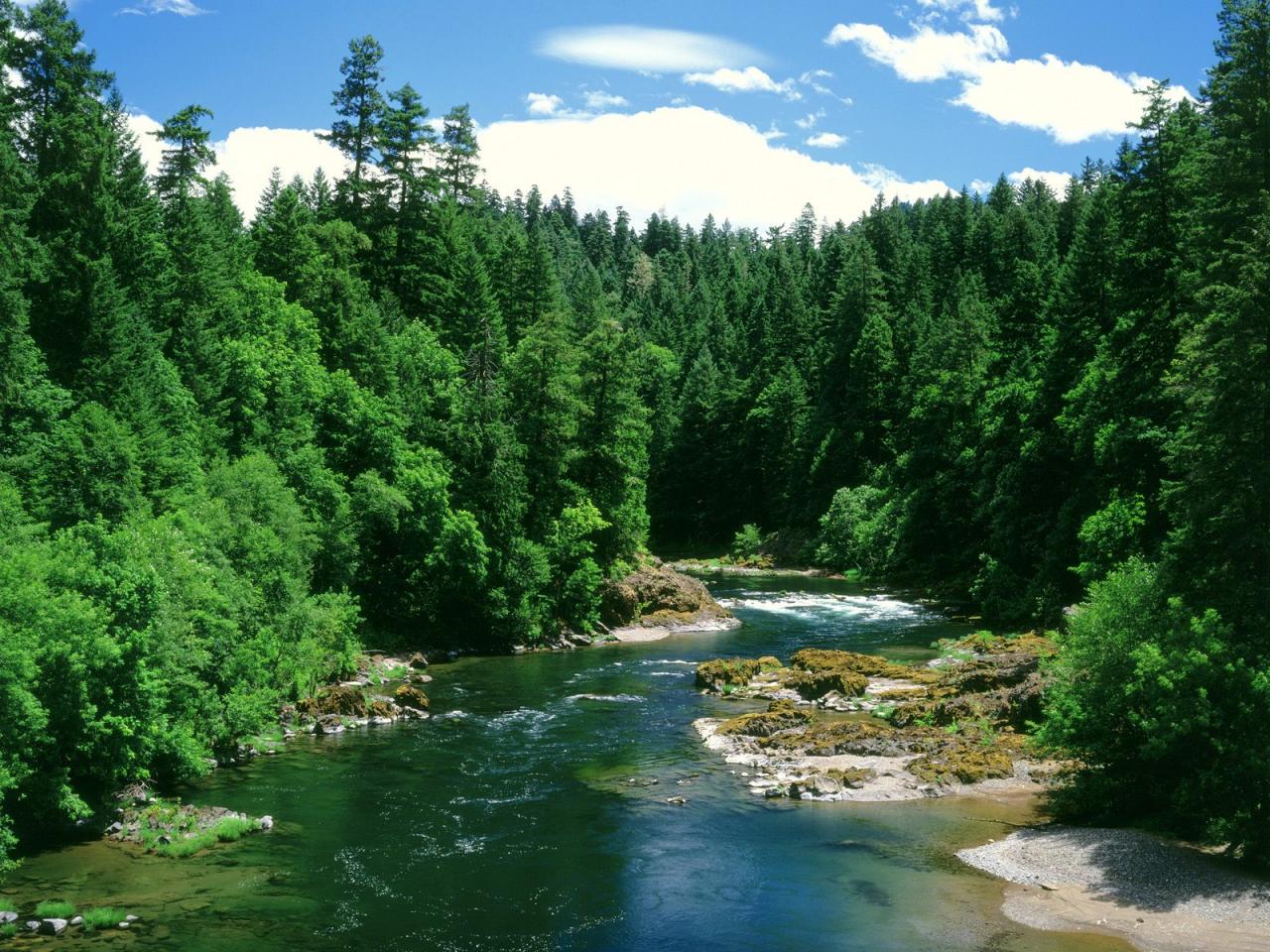 обои Umpqua River фото