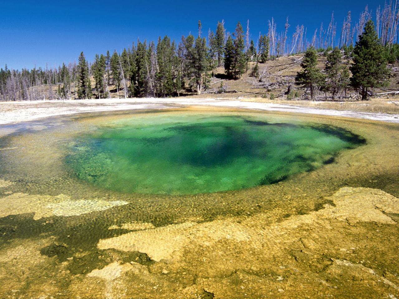 обои Upper Geyser Basin фото