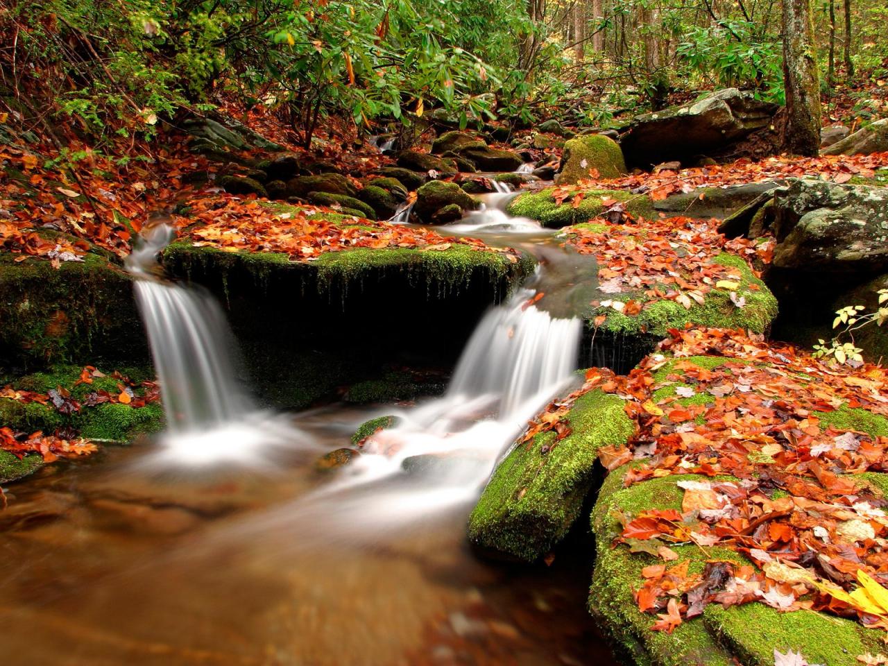 обои Wesser Creek in Autumn фото
