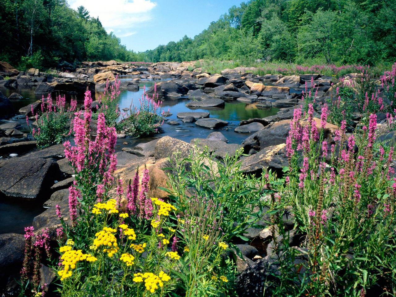 обои Wisconsin River фото