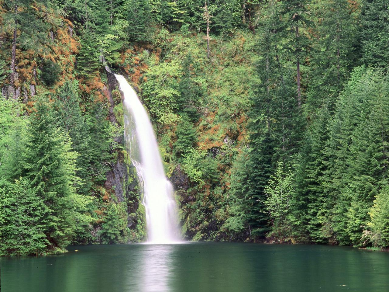 обои Willamette National Forest, Oregon фото