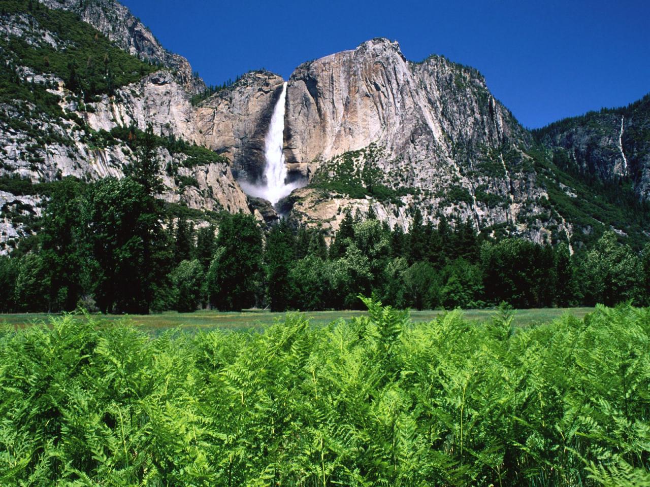 обои Yosemite Falls, California фото