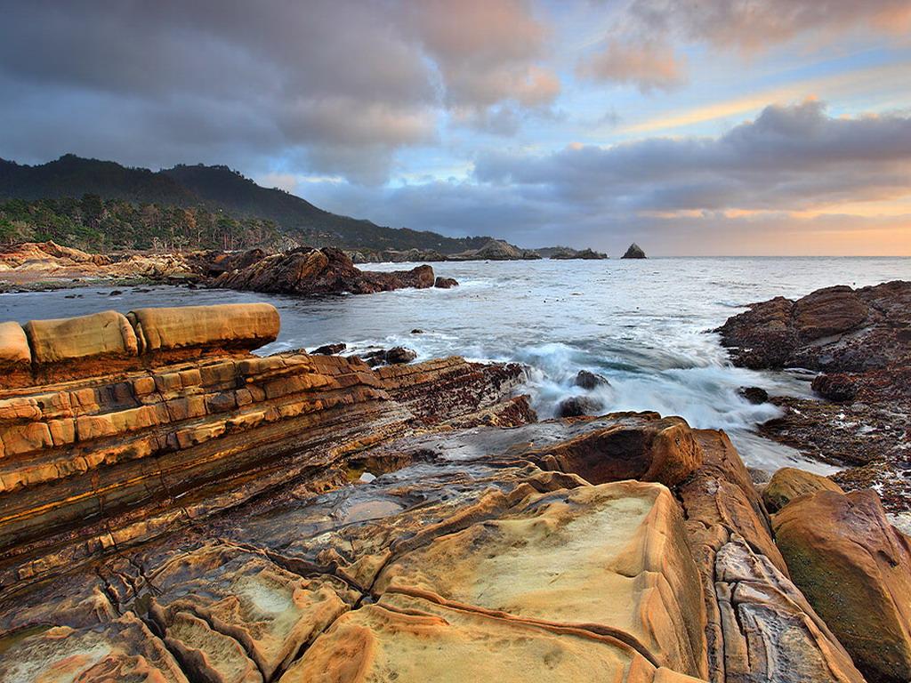 обои Bird Rock - Point Lobos, California фото